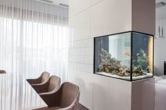 03 modernus namas akvariumas projektavo Alina Venskutė foto_Andrius_Stepankevičius