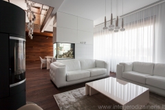 16 modernus namas svetainė projektavo Alina Venskutė foto_Andrius_Stepankevičius